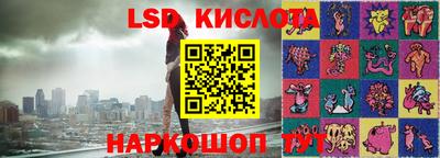 прущие грибы Усть-Илимск