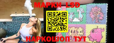 прущие грибы Усть-Илимск